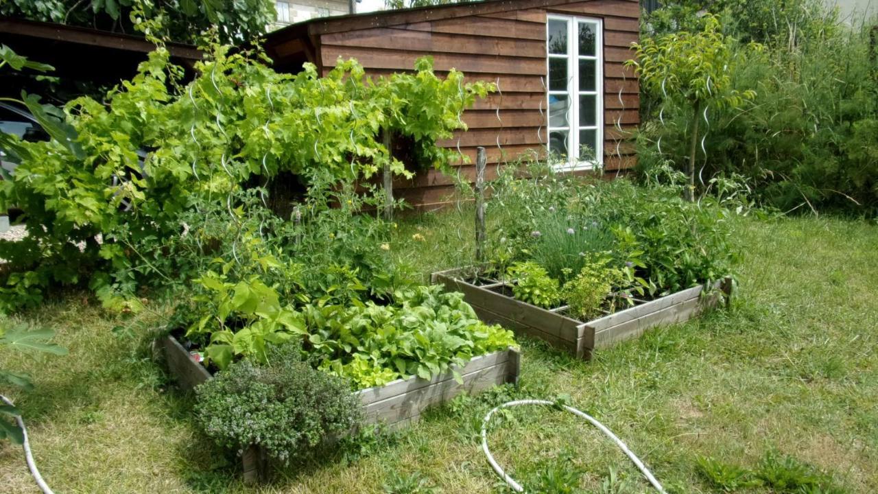 Maison Linda Ch. D'Hote Grateloup Kültér fotó